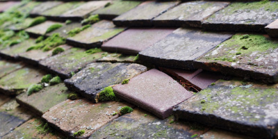 Tholomas Drove roof repair costs